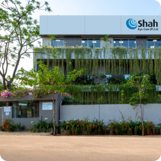 Shah Eye Care Plant Photo